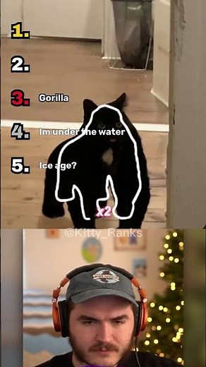Ranking Perfectly Cut Cat Transformations!