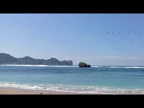 🔴 LIVE: Japanese Tea Ceremony 🍵 | 24/7 Calm Koto & Shakuhachi Music