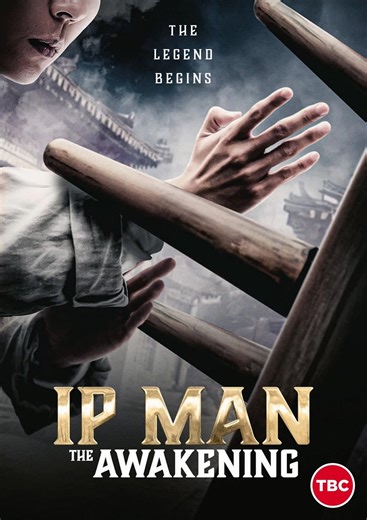 Ip Man: The Awakening (2022) | ČSFD.cz