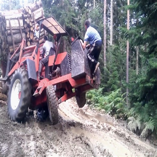 Transporting timber in the harshest conditions | Machinery Fastest
