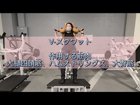 下半身 筋トレマシン使い方【V-スクワット（HAMMER STRENGTH）】