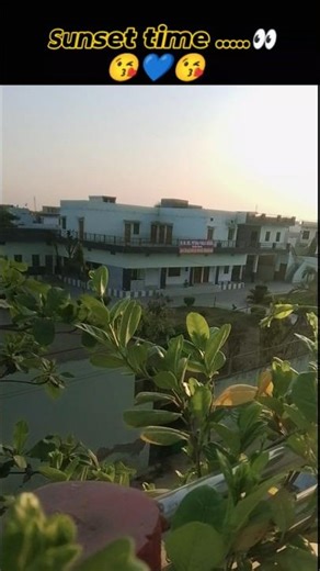 sunset view #holi #trending #viral #vlog #shorts