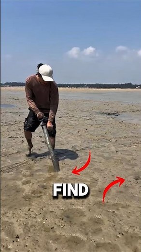 Is it THIS EASY to catch Mantis Shrimp?