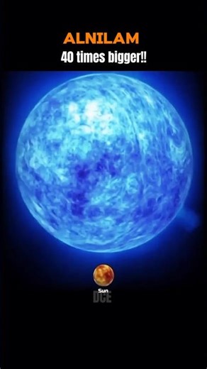 Sun vs Other Stars ⭐ Size Comparison That Will Shock You!#space #universe #sun