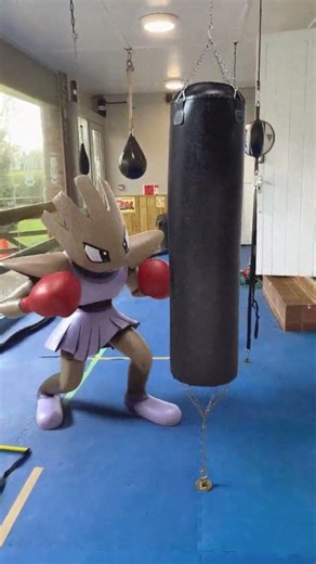 355 Hitmonchan : #IRL #Pokemon #Animation #Gym