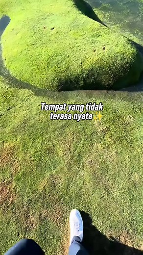 Rekomendasi Wisata Terbaik di Raja Ampat dan Destinasi Lain