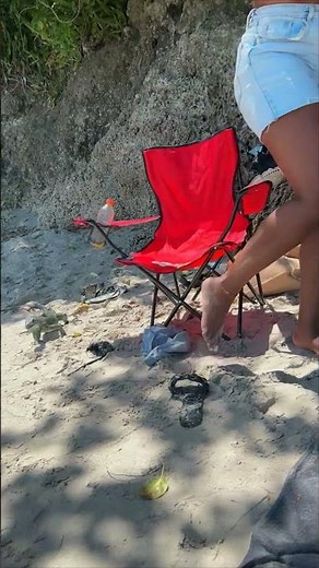 Woman Gets Startled By Iguana On Beach