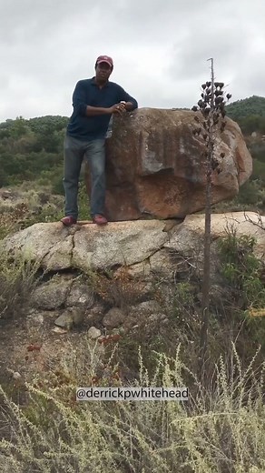 Don't just get your MICRO money, but get your MACRO money too! Want to learn how to maximize your funding and invest in tangible things like Real Estate? If you want to learn the secrets no one is talking about regarding funding, comment "Freedom" and I'll send you a link to my next free coaching webinar. #credited #fund #generate #marketing #ownership #revenue #cred #strategy #buisness #profit #businesstiktok #businessowner #womeninbusiness #sidehustleideas #businesswoman #howtomakemoney #workf