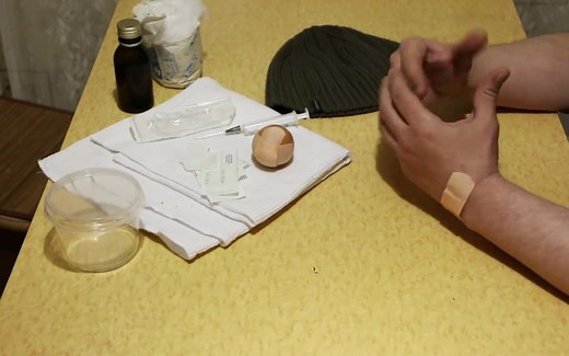 【Homunculus】【人造生物】关于Homunculus的推理#0