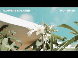 Mortimer - Flowers & Flames (Official Audio)