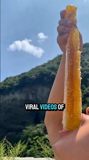 Why You Should NEVER Eat Raw Honey ‼️😱