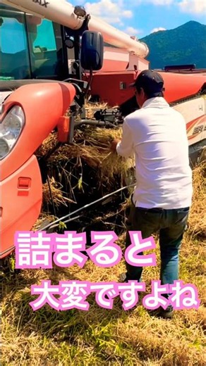クボタER572で麦の刈り取り作業｜大型コンバイン収穫風景#kubota #農業 #現代農業 #farming #machinerychannel #agriculturelife