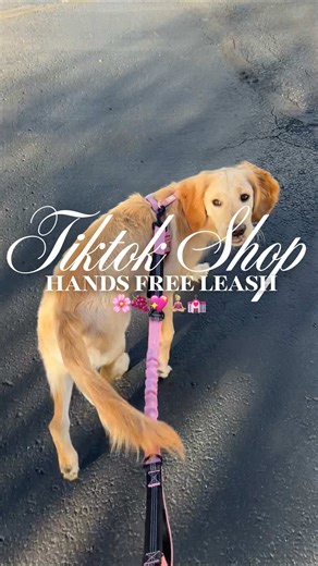 Perfect Hands-Free Dog Leash for Easy Training