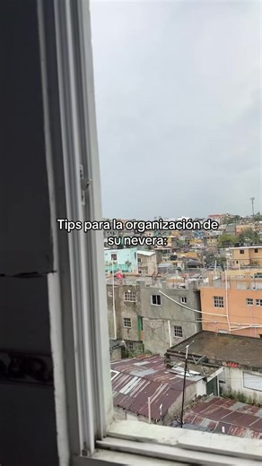 Video de Dr 333🌻 (@isbelbatista01) relacionado con “Organizing Tips”