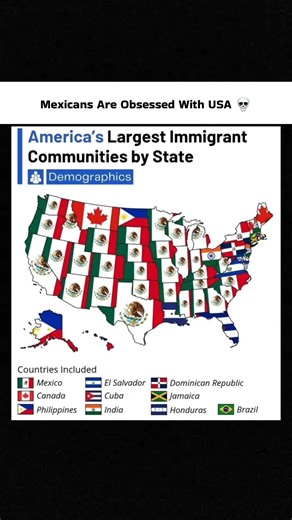 United States population and cultural diversity trends mapped by state... 📊✨ #shorts #worlddata