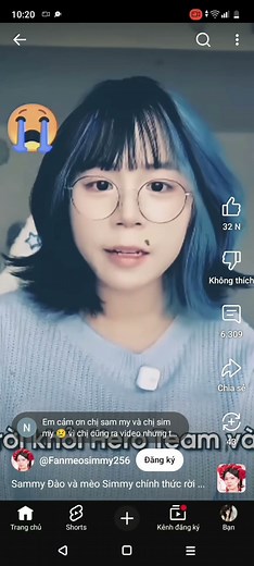 mèo simmy và sammy đào rời khỏi team rồi 😭