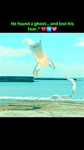 VHS on Instagram: "🎬 The Ghost Book (2022) ⭐ Rating: 5.0/10 (Family Fantasy) 📅 Release Date: 2022 🎭 Genre: Family, Fantasy, Mystery 🎬 Director: David Holcombe --- 📖 Detailed Explanation: The Ghost Book (2022) is a light-hearted kids fantasy adventure about a shy boy named Ryder who moves to a new town and discovers an old, mysterious book inside an antique shop. This book isn’t ordinary—it connects him to the world of spirits. Soon, Ryder realizes that a friendly ghost girl is tied to the b