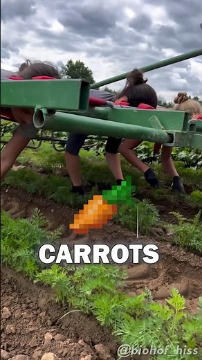 Typical German Farm