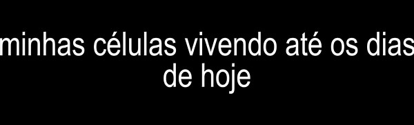 Rap dos Hokages: A História do Naruto