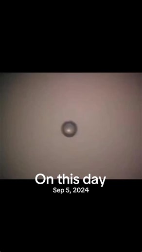 53K views · 1.3K reactions | The spark of life can literally be observed at the moment life is conceived. We are all frequency and vibrations #onthisday #frequency #sparkoflife #oldworld #questioneverything | Question Everything | Facebook