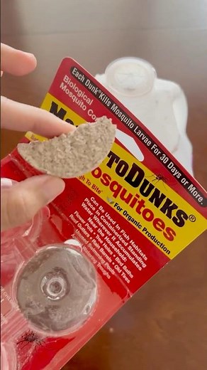 Easiest way to get rid of fungus gnats on plants 🪴#plantlover #fungus #pestcontrol #gardening #tips