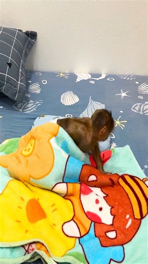 1.9K views · 70 reactions | Lala helps Dad renovate the farm in the new house #Lala #Monkey #Bibi | Lala Update | Facebook