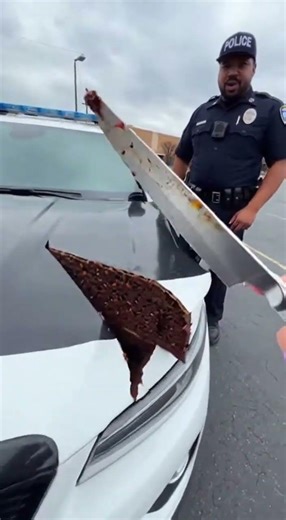 Germany’s Traditional Christmas Fruit Bread! 🎄🍞 #cake #birthday #viral #shortsviral