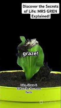 Discover the Secrets of Life: MRS GREN Explained! #facts #science #sciencedaily #livingorganisms
