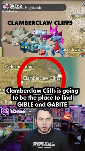 Catch Garchomp and Lucario in Pokemon Legends Arceus