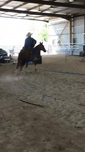 2.2K views · 117 reactions | We have had an amazing week performing at the 2019 Tamworth Country Music Festival! A huge thank you everyone who has come out to see the show and a few surprise performances from Sara Storer and Luke O'Shea as well as my amazing team! We have just one show left kicking off at 9:30am Friday morning! Some tickets still available at the door from 9:00am. Bring a cushion to sit on. The canteen will be open from 8:30am.  | Tom Curtain | Facebook