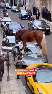 1.7M views · 5K reactions | What do I tell my insurance?  #fail #funny | Lessons Learned In Life | Facebook