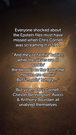 These lyrics hit way different now… 😔 #hungerstrike #chriscornell #grunge #epsteinfiles #legend