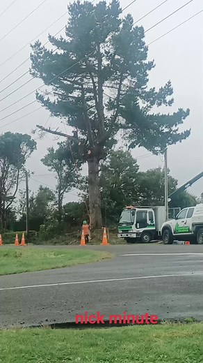 what a d****** 😹😹