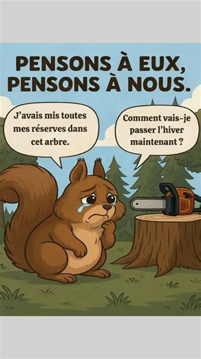 14K views · 441 reactions | Lorsqu'un arbre s'effondre, ce n'est pas seulement du bois qui disparaît... C'est un habitat, une source de nourriture, un refuge. La forêt appartient aussi à ceux qui y vivent. ️ | Le Savoir de Mamie | Facebook