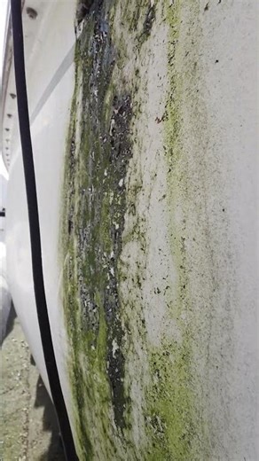 Segelboot Horror: Die dreckigsten Stellen auf meinem Boot #segeln