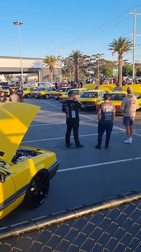 Car show in Deer Park...Happy Friday from Melbourne 🏠🫂🇦🇺👈!! #tgifvibes #weekendishere #nonfollowersviewers #followersreelsfypシ゚viralシfypシ゚viralシalシ | Elena Shipley-Siddins