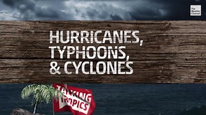 8.2K views · 117 reactions | As we inch closer to the 2021 hurricane season, let's make sure you know your stuff. We can't have our fans embarrassing us!  If you don't know the difference between a hurricane, typhoon, and cyclone, you will one minute and twelve seconds from now: | The Weather Channel | Facebook
