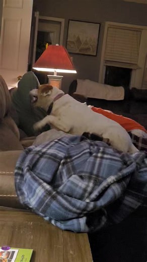 Jen Perdew Lawson on Reels | Facebook