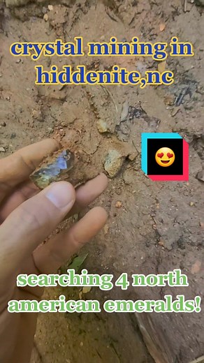 searching 4 north American emerald in hiddenite nc & came across a pretty quartz crystal! mining @ heaven sent prospect #explore #gems #mineralspecimens #trending #trend #share #rocktok #rocktokfam #minerals #news #usa #blessed #LifeIsAblessing #terminations #rocks #crystal #crystals #crystalmining #rockhound #rockhounding