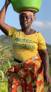 Những chuyến xoài đi qua ruộng lúa thơm lừng của mấy bà cô Angola #2qvlogs #cuocsongchauphi #teamchauphi #angola #trendingpostchallenge | 2Q Vlogs - Cuộc sống châu phi