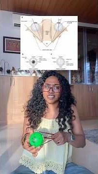 extraocular muscles and movements : conceptually explained