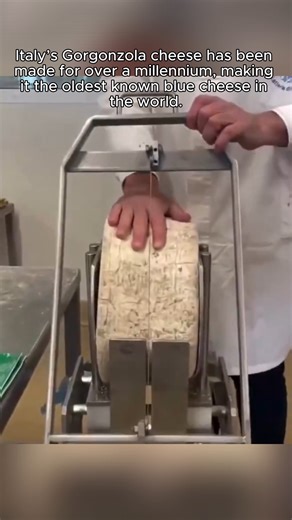 This video dives into the long and surprising history of Gorgonzola cheese, one of Italy’s most iconic foods. Records trace its origins back to the year 879, making it the oldest known blue cheese still produced today. First made in northern Italy, Gorgonzola developed its signature blue veins through natural aging methods long before modern food science existed. What began as a regional product eventually became a staple of Italian cuisine and a global favorite. The story of Gorgonzola is a rem