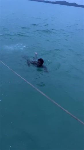 IRG_Ventures on Instagram: "Dugong hunting Ytb 🤙🏾 #capeyork #ironrange #ytb #traditonalfood #dugong"