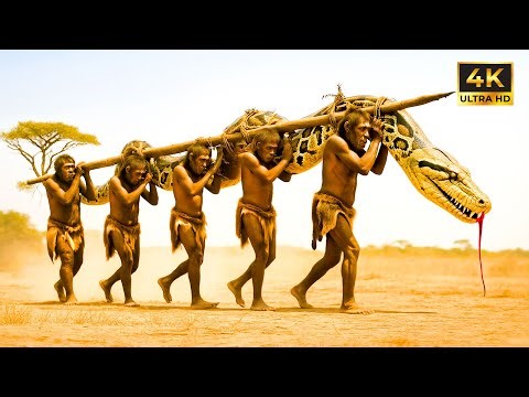 Life Million Years Ago | When Prehistoric Humans Met the Giant Python