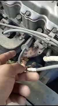 distributor and spark plugs sequence | how to set the sequence of spark plugs and the distributor
