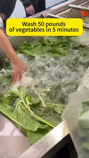 Commercial fruit and vegetable bubble washing machine,washing 2 tons of vegetables per day without pressure#fruitandvegetablebubblewashingmachine#bubblewashingmachine#tiktok#fyp#sourcefactory#OEMsupplier