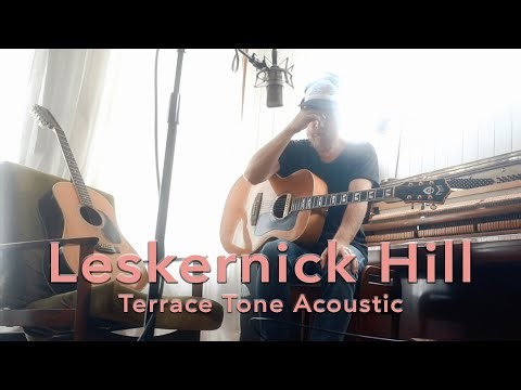 Stu Larsen - Leskernick Hill - Acoustic (Terrace Tone Session)
