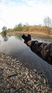 73K views · 865 reactions | Traditional fishing methods have existed for thousands of years. Now there are new developments, such as using slingshots to catch fish, which seems to be more convenient, but it requires higher skills from fishermen. To view more special shooting activities→ www.gzkband.shop #fishing | Gzkband | Facebook