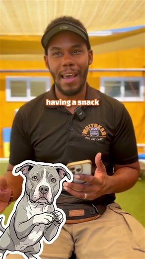 The place command is one of the most valuable skills you can teach your dog. 🐾
