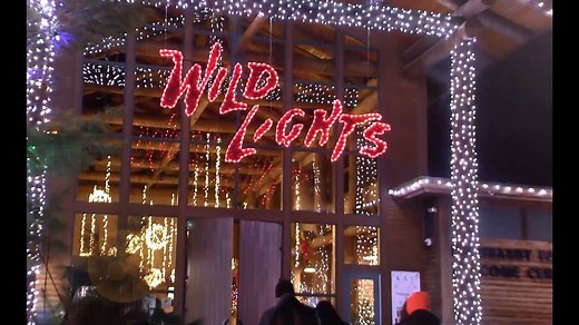 Come see the zoo decked out in holiday lights! Wild Lights, presented by Akron Children's Hospital, runs Nov. 23-25, 30, Dec. 1-2, 7-9, 14-16, 21-23 & 26-30 from 5 - 9 p.m. Get your tickets now: https://www.akronzoo.org/wild-lights-event Ice skating, Santa, s'mores, special themed entertainment, carolers, adult beverages and so much more are available during the event. Buy your tickets early and save money! | Akron Zoo